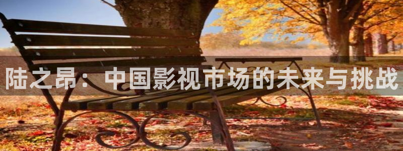 九七手机电影网：陆之昂：中国影视市场的未来与挑战