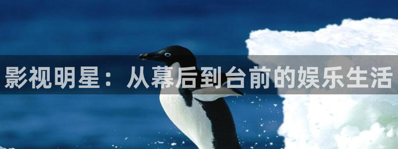 九七福利影院：影视明星：从幕后到台前的娱乐生活